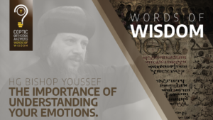 The importance of understanding your emotions_HG_Bishop_Youssef.png